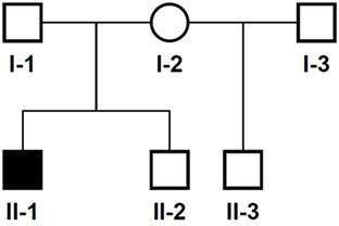 Identification of a Novel Heterozygous De Novo 7-bp Frameshift Deletion in PBX1 by Whole-Exome Sequencing Causing a Multi-Organ Syndrome Including Bilateral Dysplastic Kidneys and Hypoplastic Clavicles